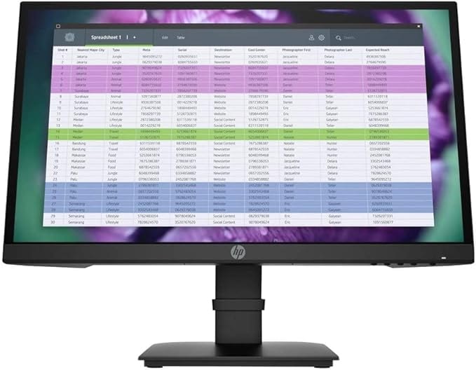 HP P22 G4 FHD 21.5" LED Monitor